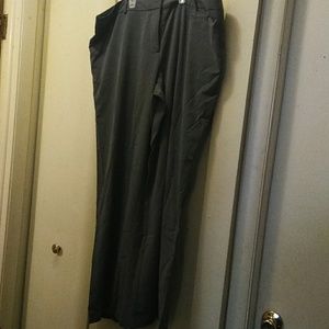 Dress pants